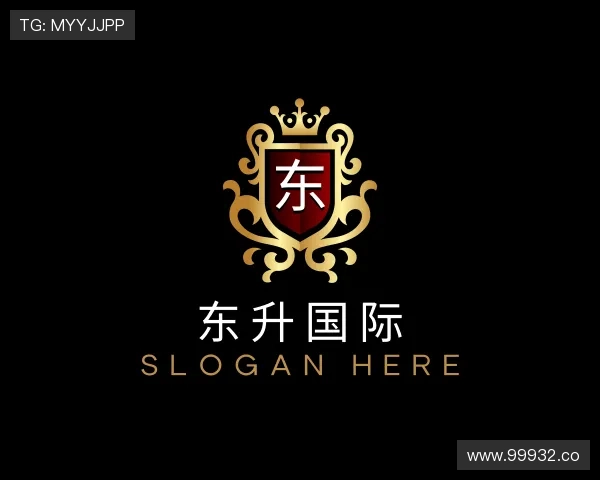发现东升国际